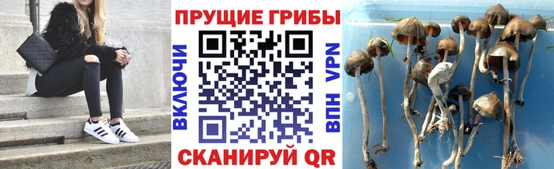 Галлюциногенные грибы мицелий  Йошкар-Ола 